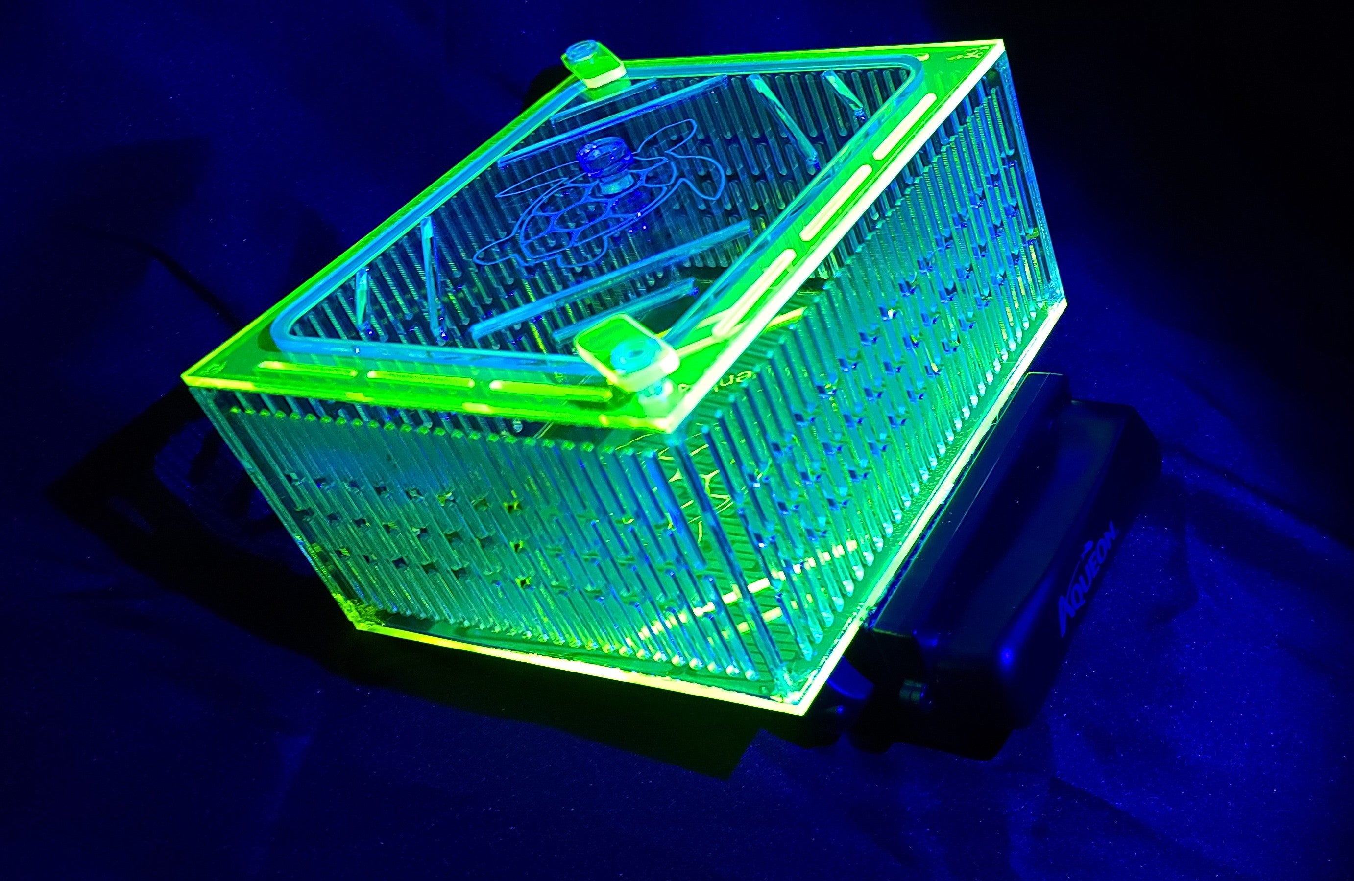 Mushroom Box