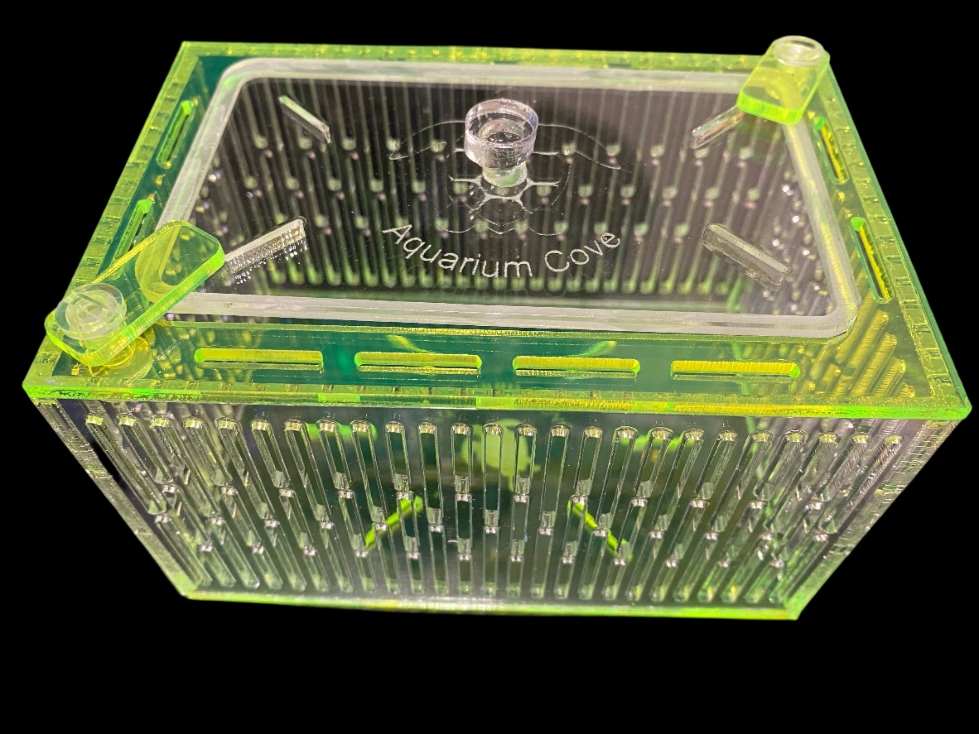 Small Mushroom Box