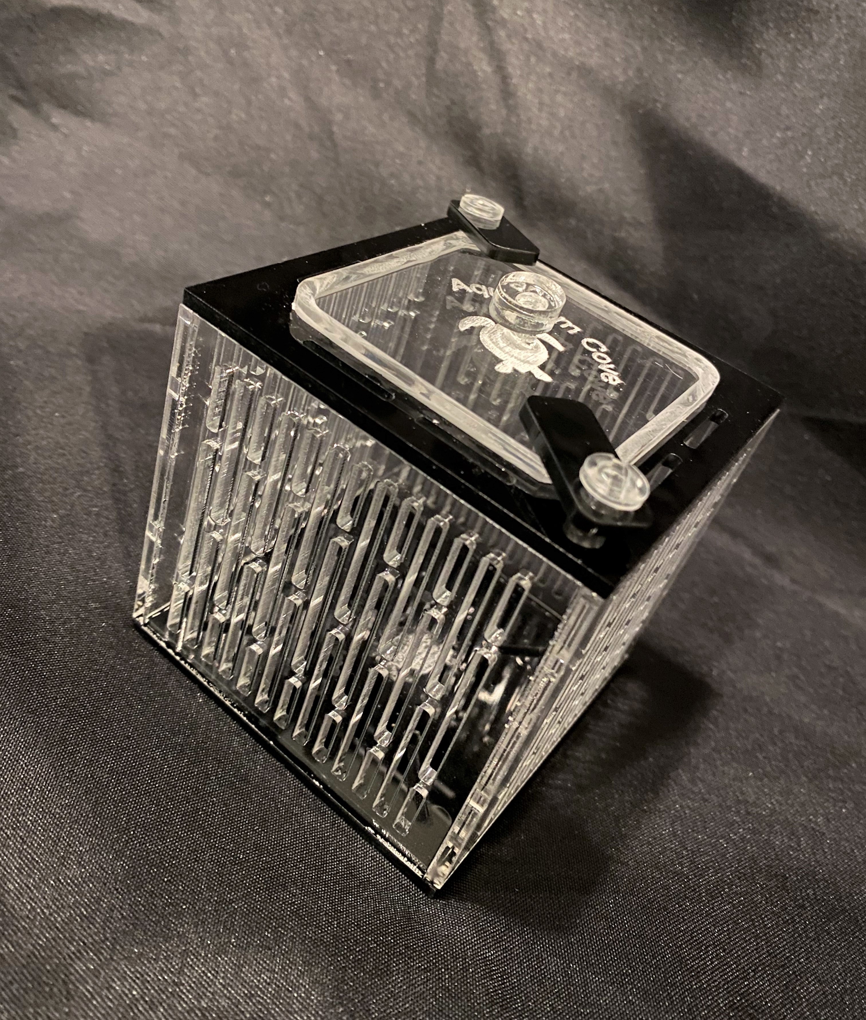 Nano Mushroom Box