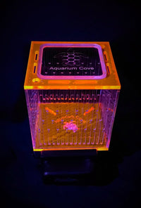 Nano Mushroom Box